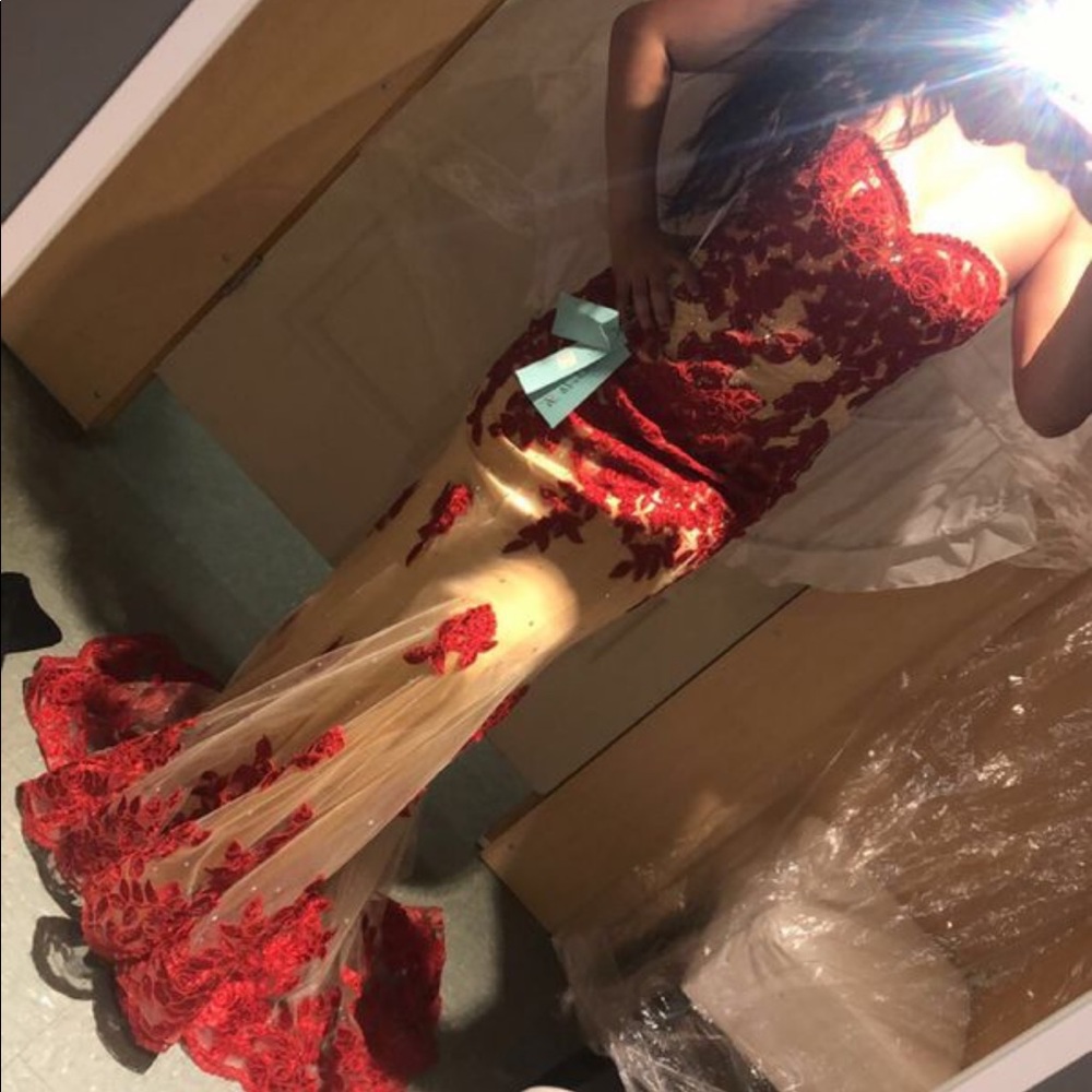 Beautiful Red Mermaid Lace Dress